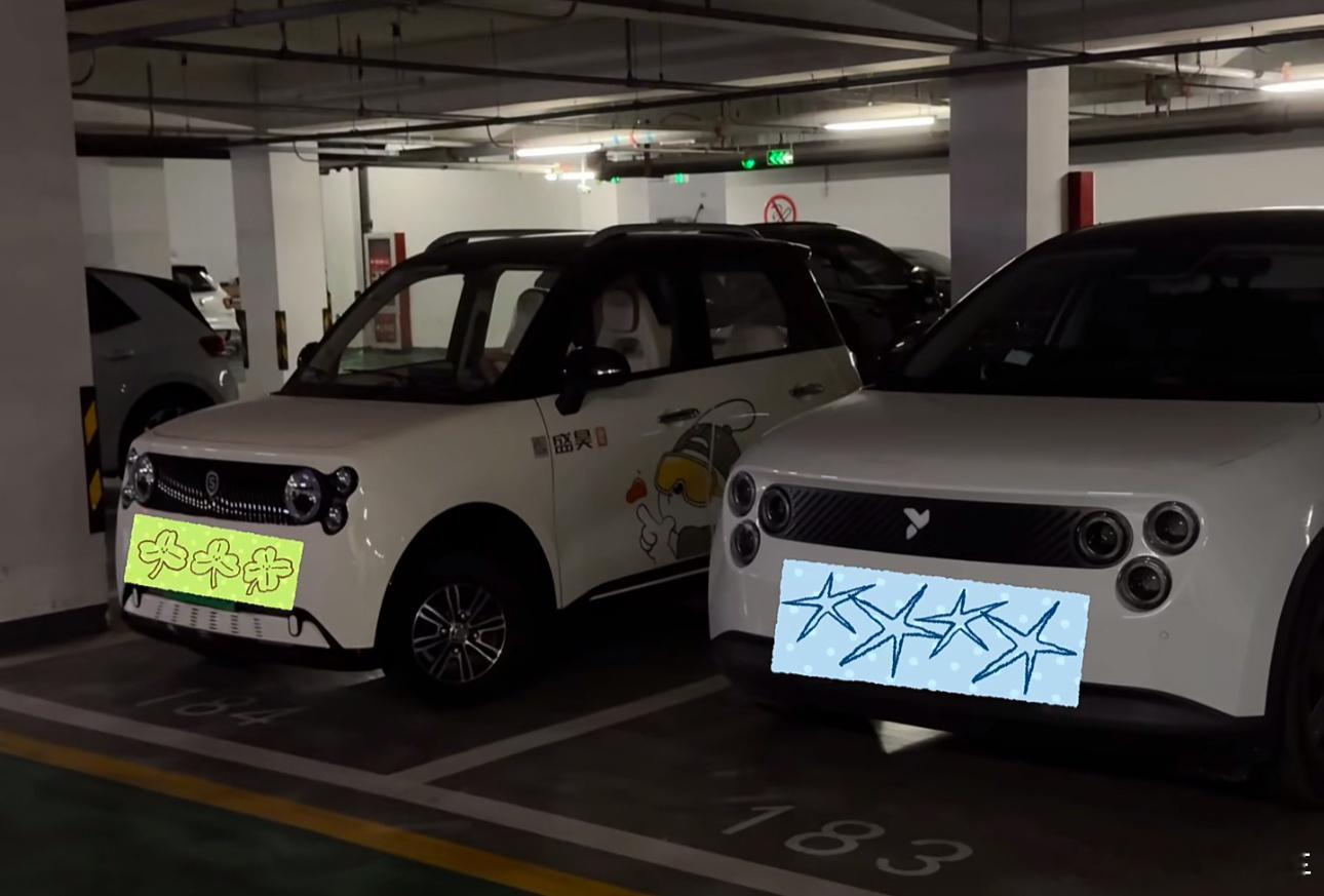 这俩虫子咋还同框了，多冒昧啊。