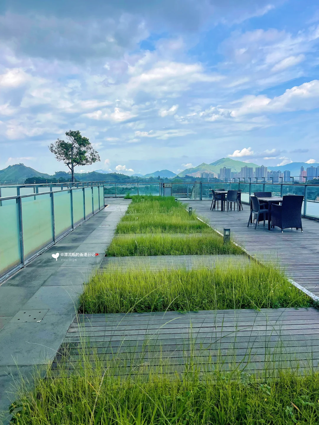🇭🇰天水围｜全港第二大图书馆｜室外位绝美🆓