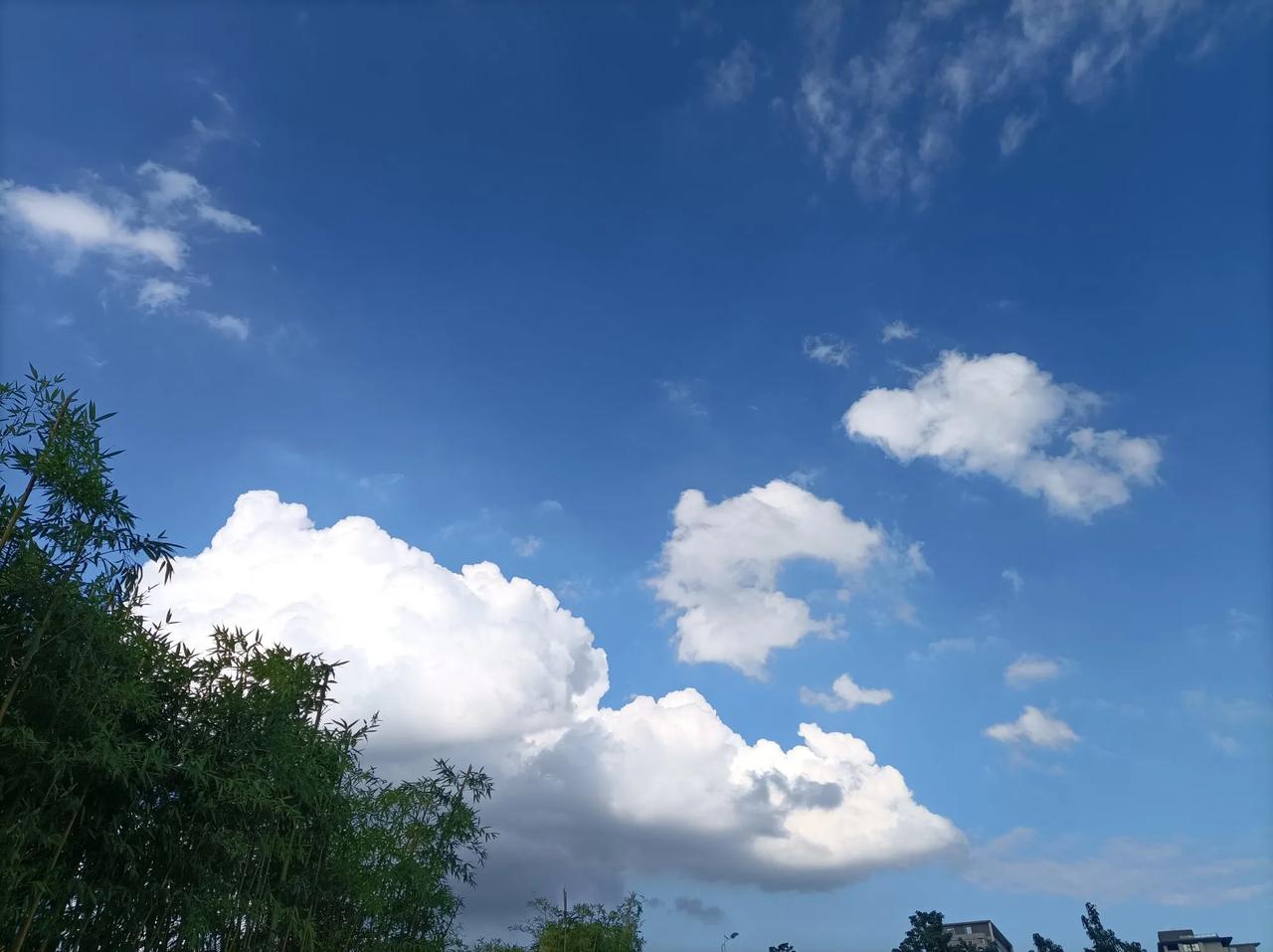 所有痛苦的根源
来自于自己的不接受。

不接受婚姻不幸福
不接受感情的背叛
不接