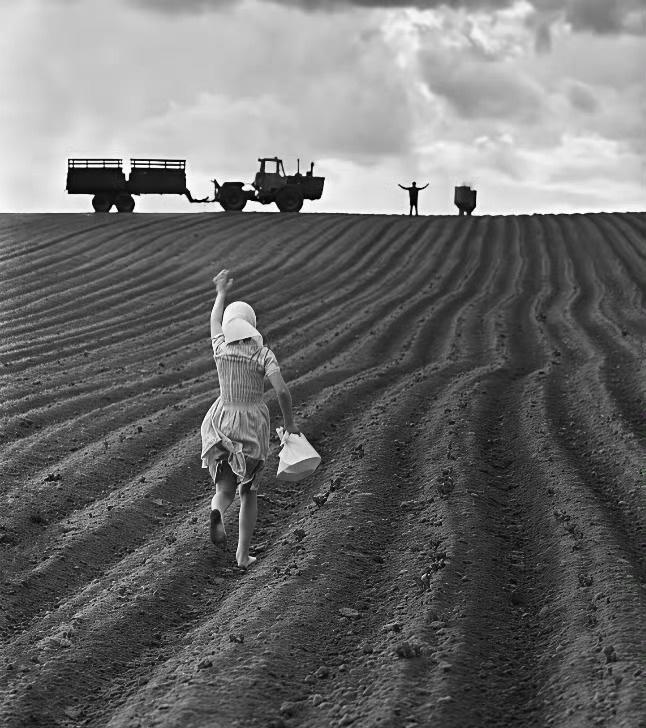 苏联最著名的照片之一，女儿给在田间劳作的父亲送饭​​​​。 ​​​  ​​​  