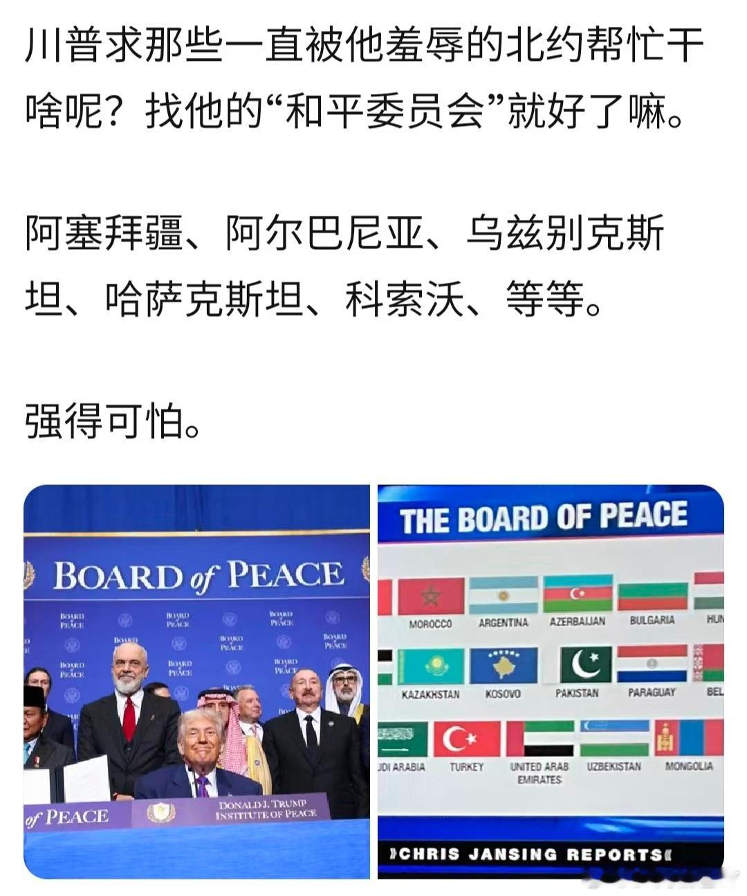 不说还真给忘了，和平委员会这玩意在干啥现在？ 