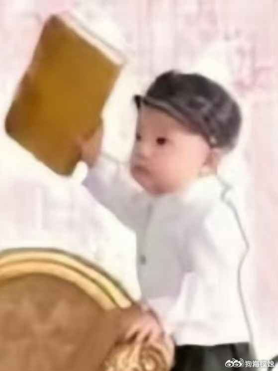 张泽禹说妈妈看 家人们快来看！张泽禹从一岁起的成长对照，这创意简直无敌，妥妥养成