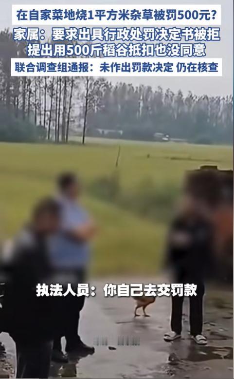 太出人意料了！河南固始一名女子身患恶性肿瘤，居家休养。为减轻生活负担，她自种蔬菜