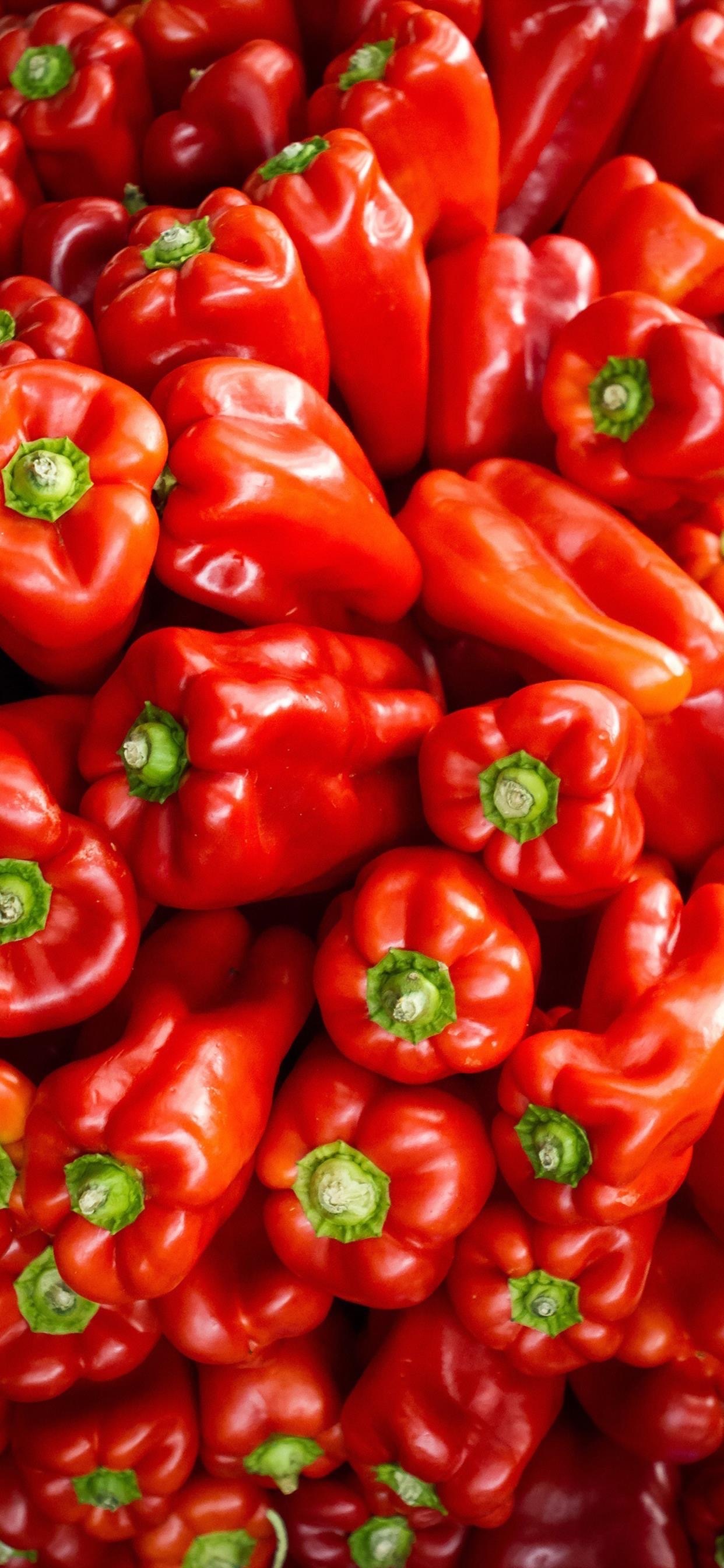辣椒🌶️ 