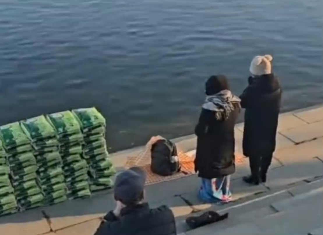 多人江边放生大米 这种行为真的让人难以理解，这时放生大米还是给江里的生物吃的？因