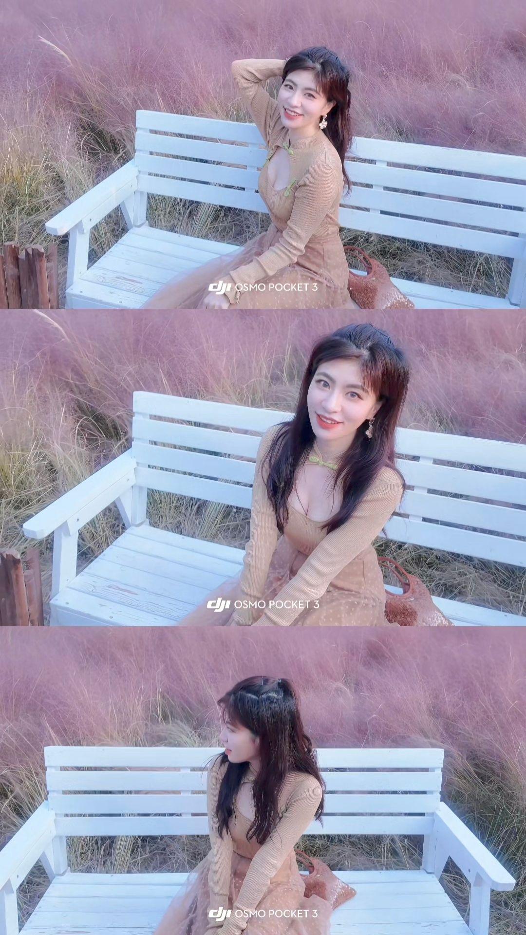 北京陪拍｜奥森公园的粉黛乱草子已到盛花期