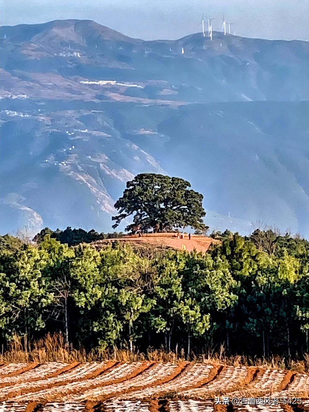 今天刷到重庆支边青年重返云南，浩浩荡荡17辆大巴抵河口，心生无限感慨。

197