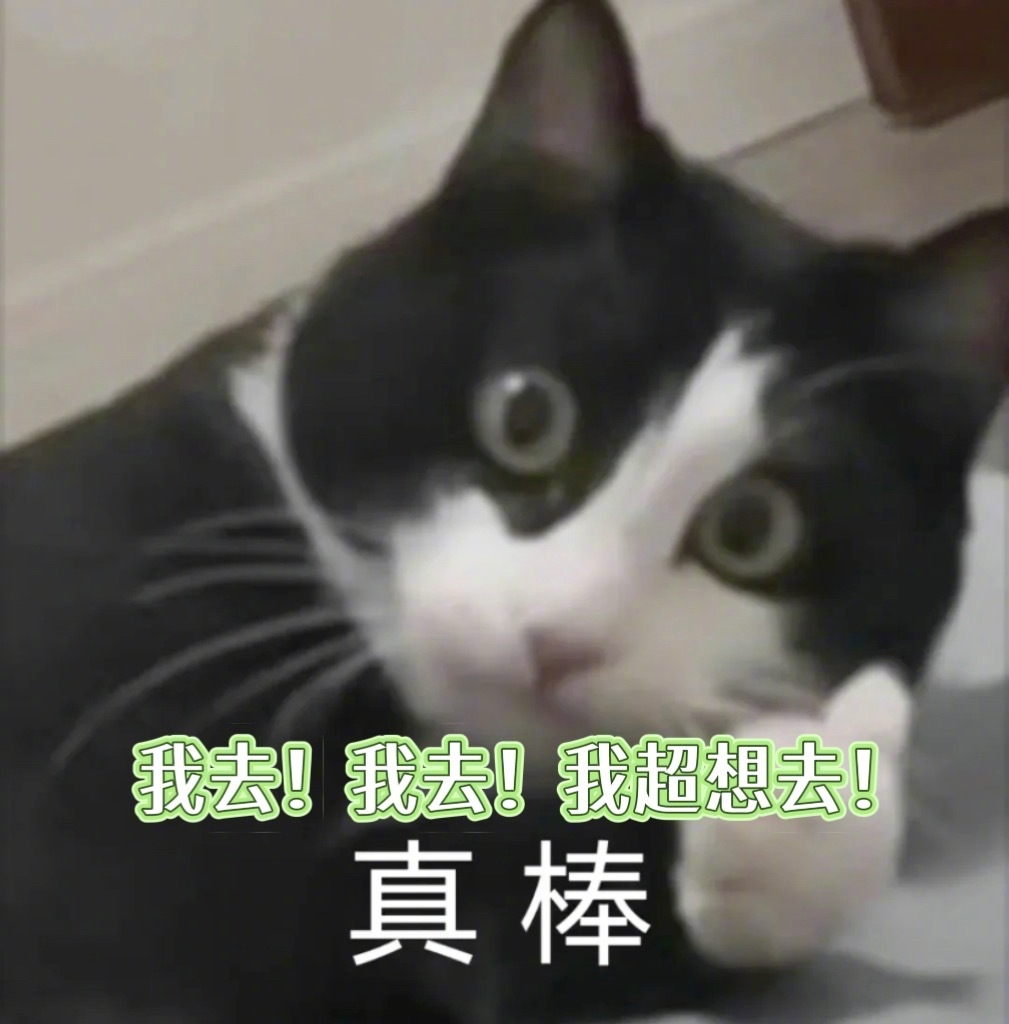我说这个宝藏落脚点是打工人通勤救星真的一点也不为过，在服务日免人工费换原装屏！我