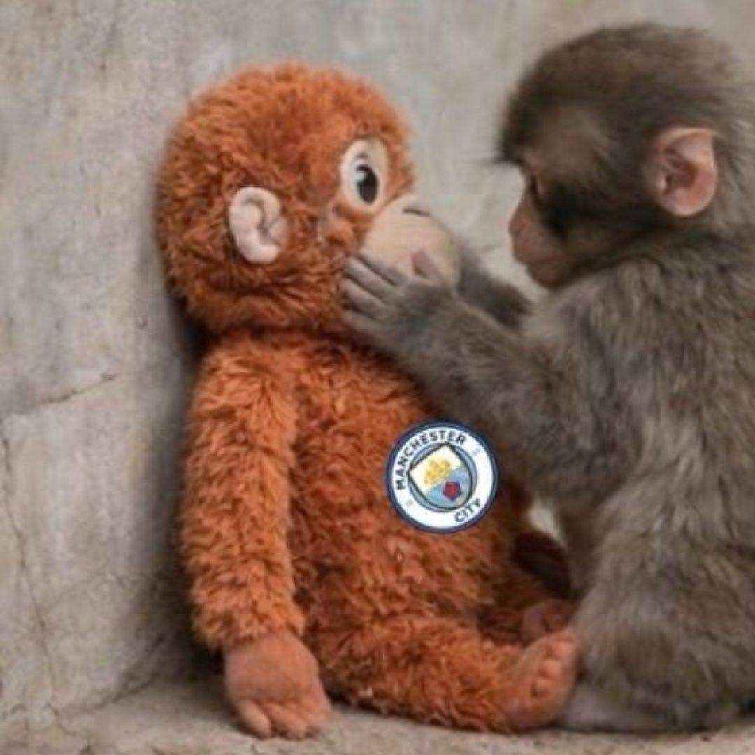 城，说你什么好呢 