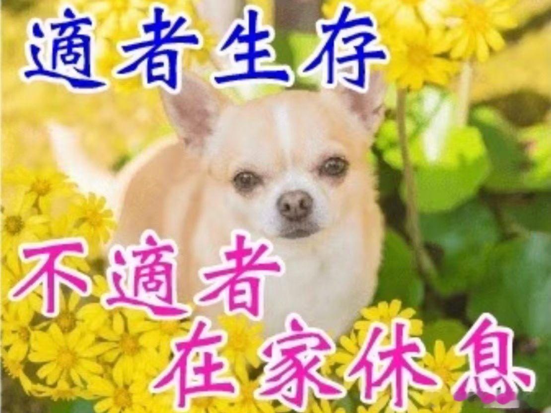 又要周一去上班了，好消息是工作一年有年假了 