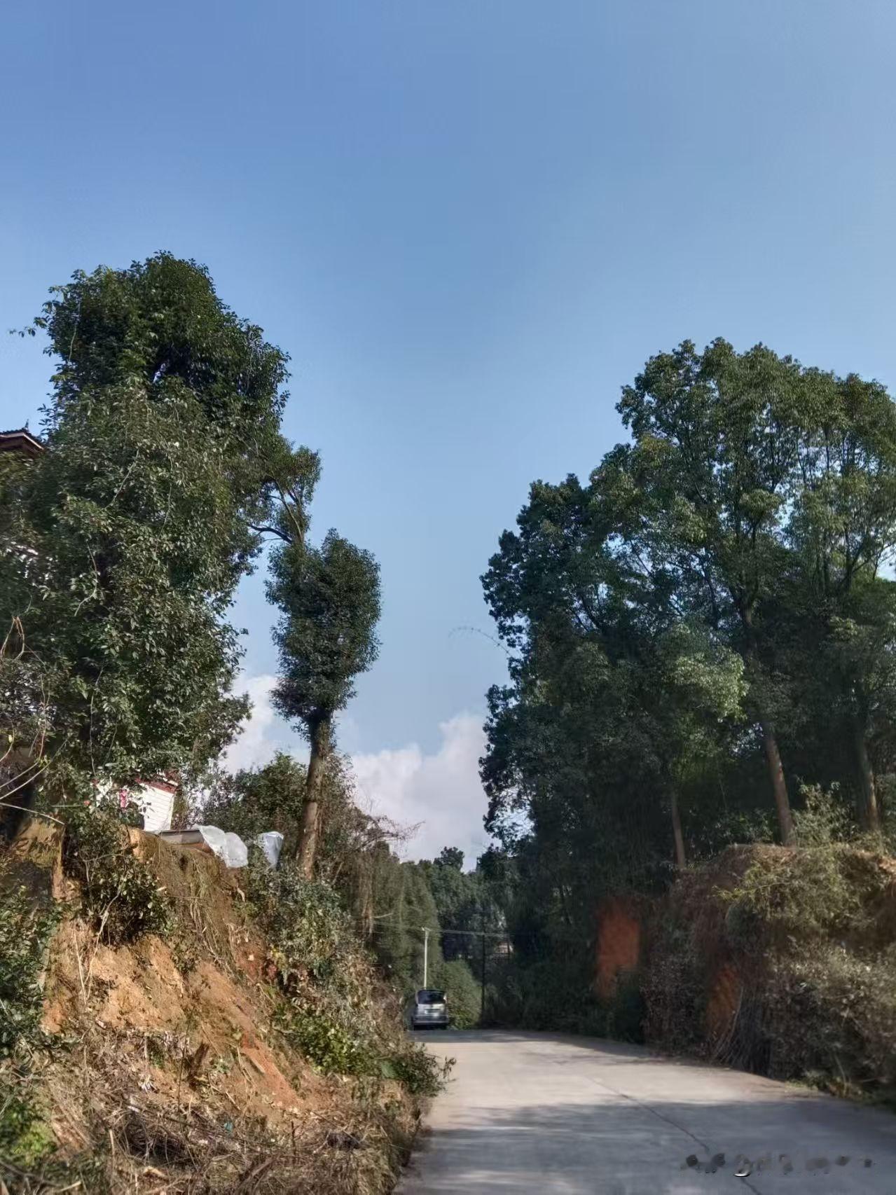 晒图笔记大赛今天小寒，天气太好了，一路暖阳晒过来。送父母回到他们出生的地方了。明