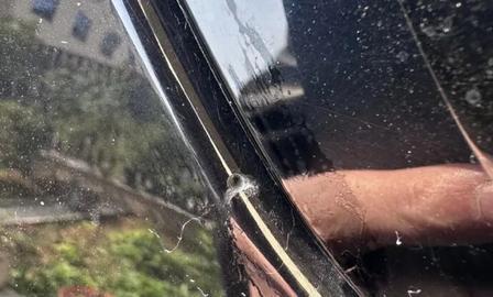 多地路边车辆惊现圆形小洞，凶手竟然是只虫子，爱车布满光滑小圆洞！很多车主第一反应