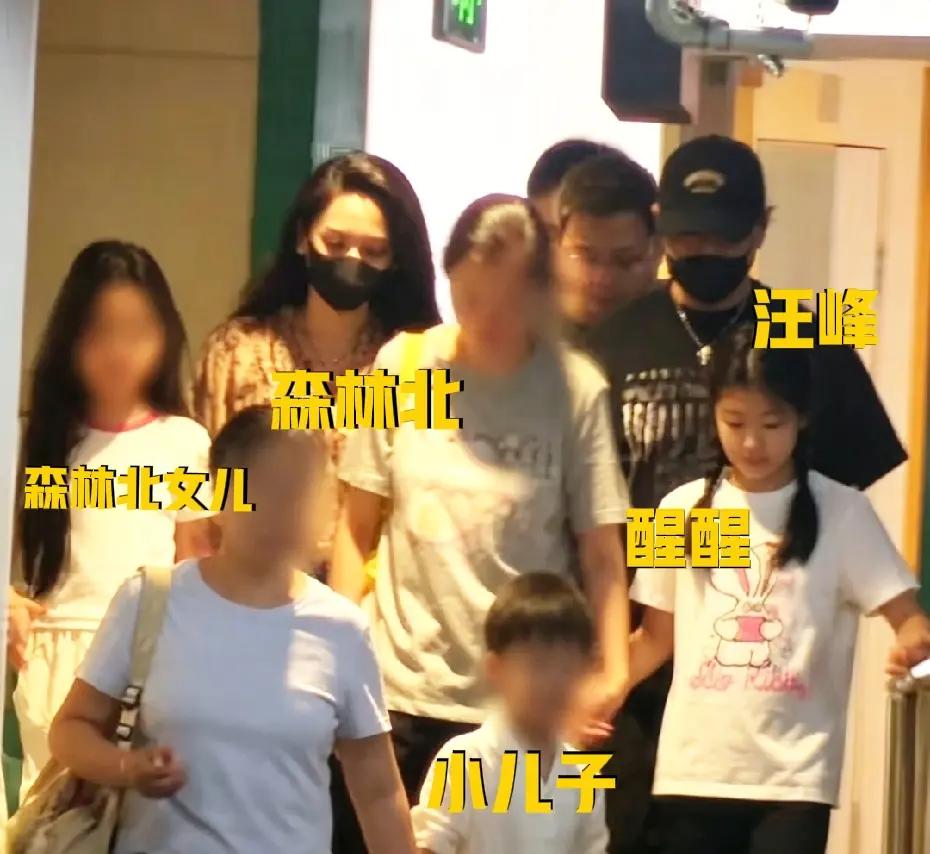 汪峰这也算是超级奶爸了，孩子一大堆
 
六一儿童节当天，汪峰带着自己的四个亲生孩