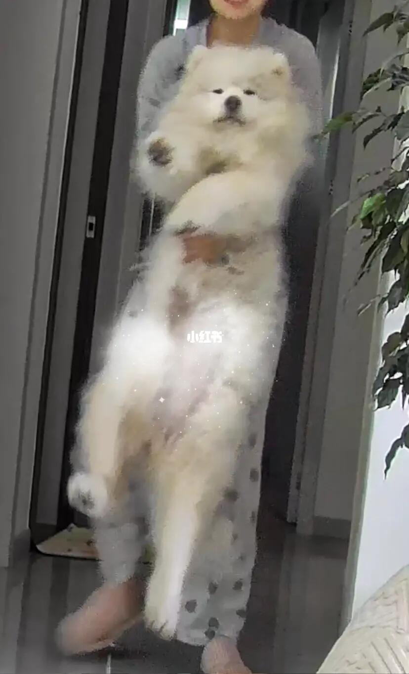 “妈妈 你要带我去哪里呀”