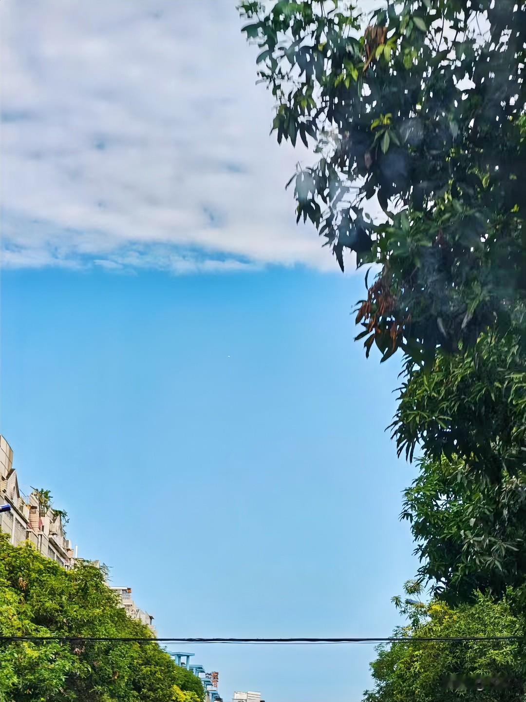 走在路上一抬头，突然被这片天勾住了脚步。

夏天的蓝好像总带着点透亮的劲儿，云薄