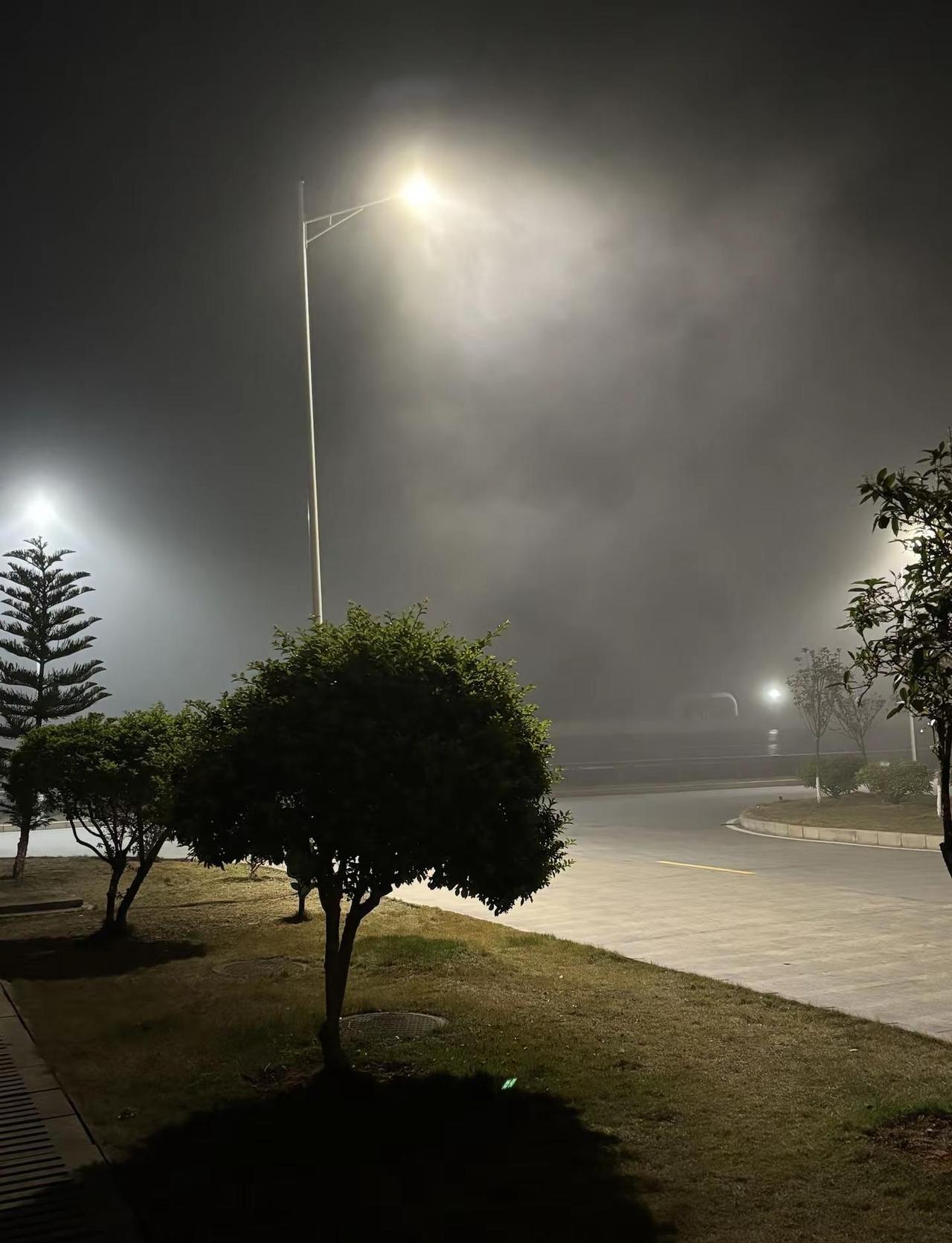 “没有天生的好命，那就奋不顾身的努力         大风大浪是大海，有哭有笑才