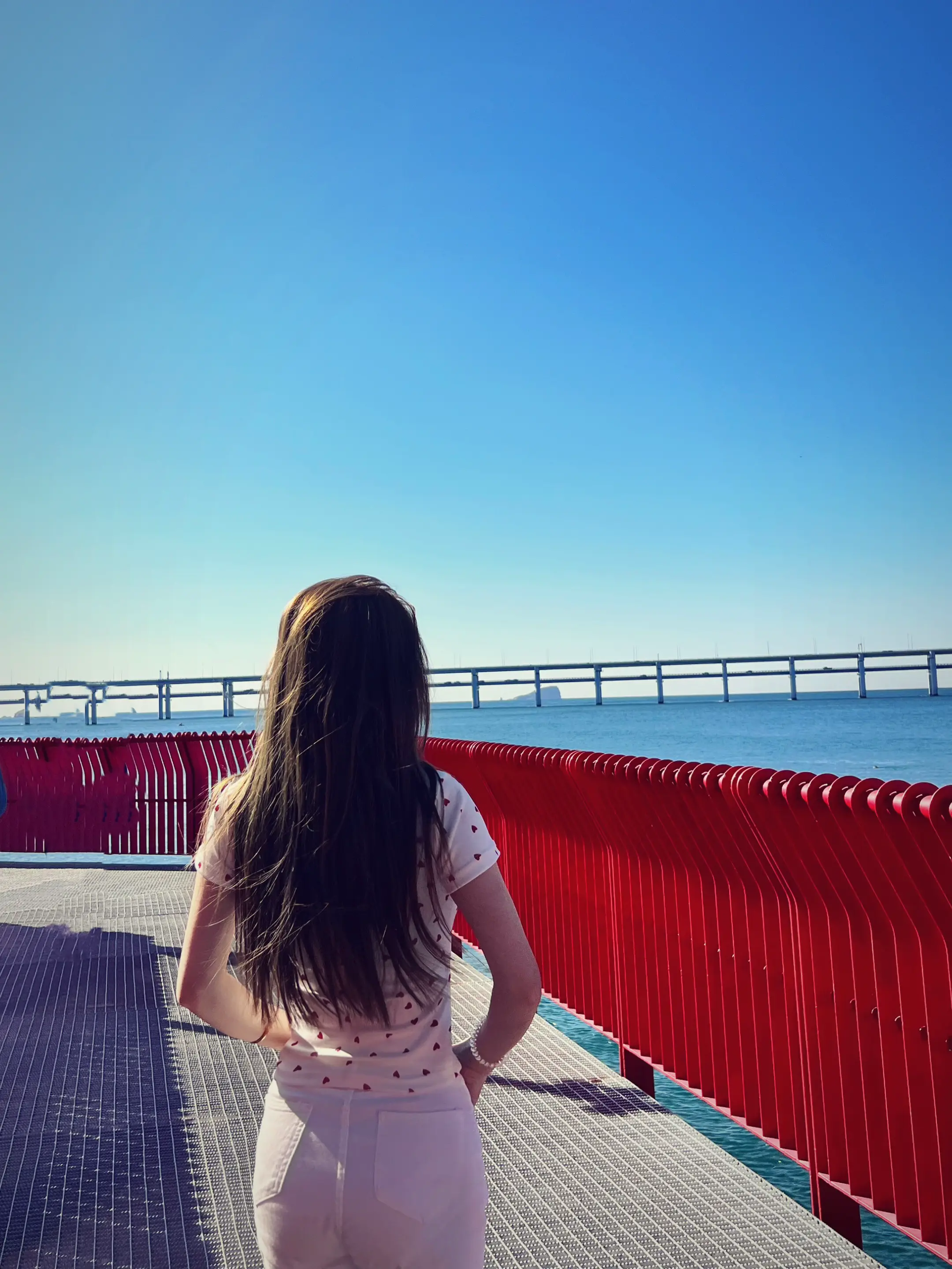 愿世间有棵无忧树 我爱的人站在树荫中