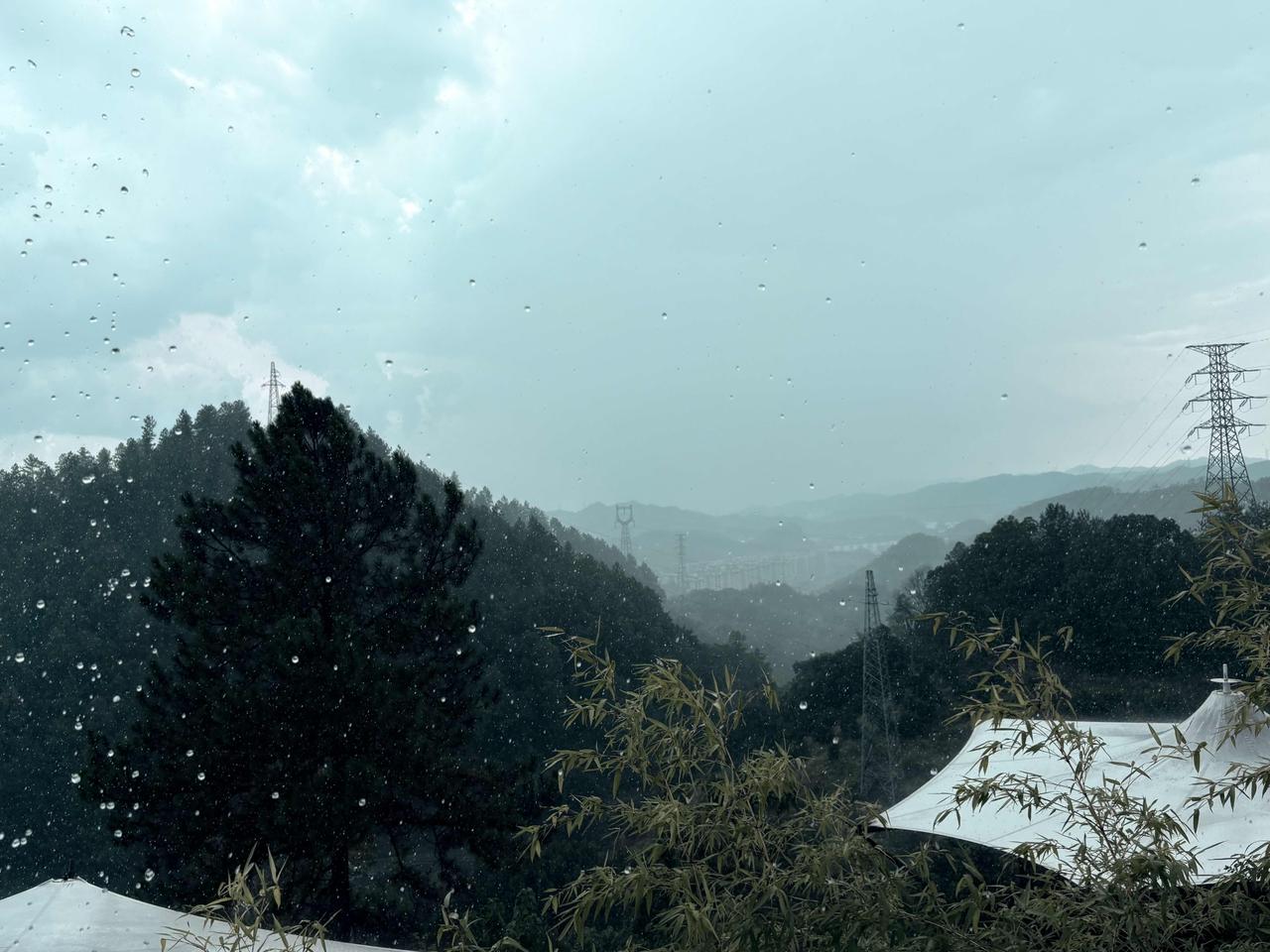 秋日生活打卡季