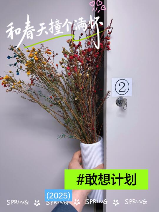 救命！！衣柜开出浪漫“花朵炸弹”～
