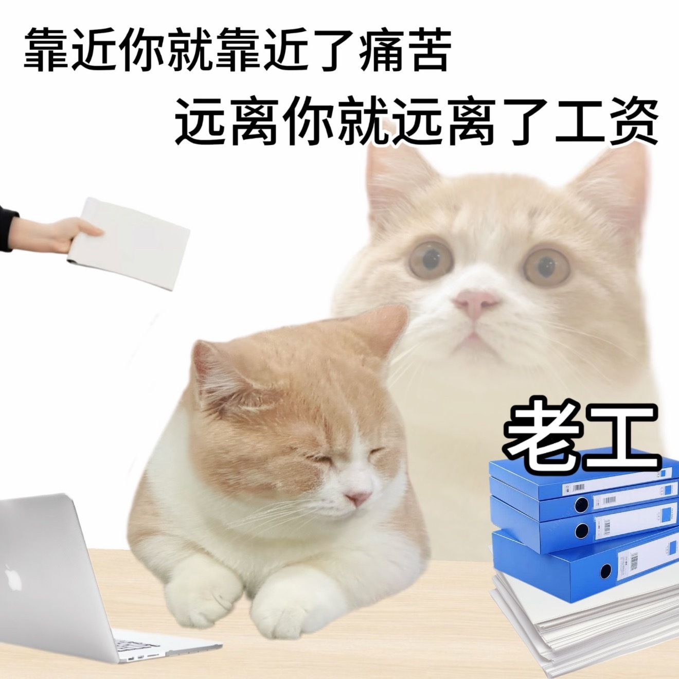 我在挨骂 稍等呀打工人的情绪稳定，本质上是：骂可以听，气不能生，班还得上，钱还得