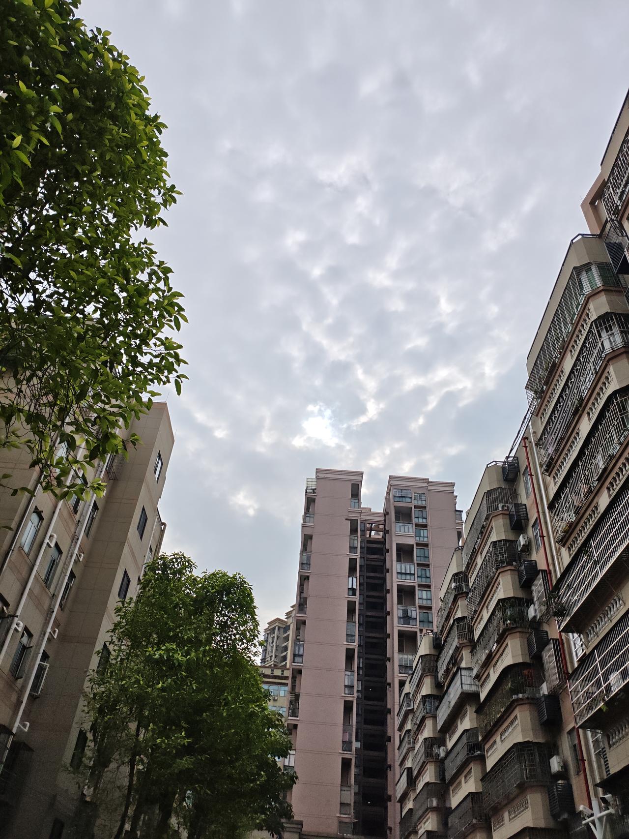 晒晒深圳的天空深圳阴天的天空也很美丽，淡淡的云彩像一幅画掛在天上！
