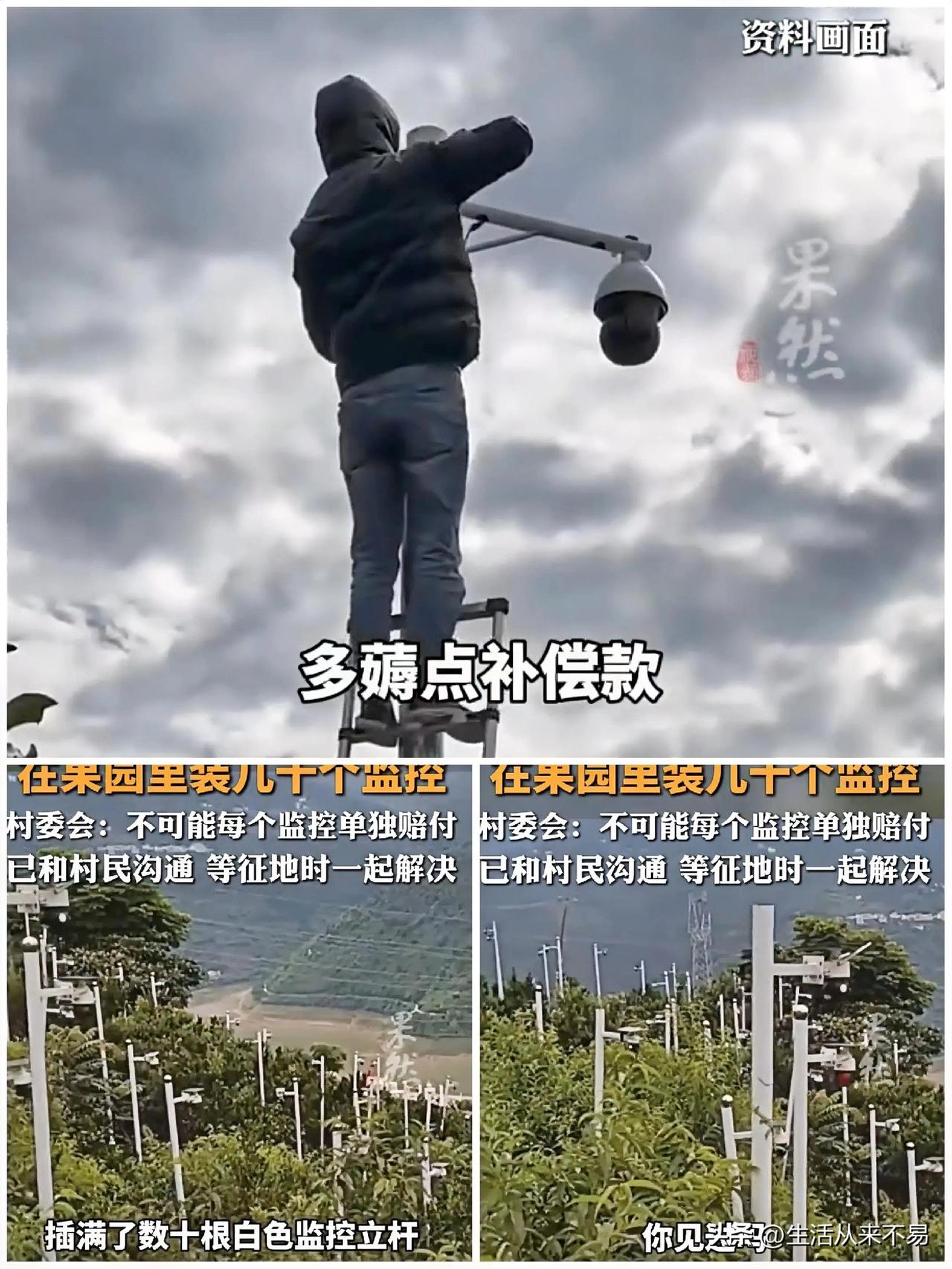 巴东果农的橘子长势很好。他打电话让朋友帮忙联系装监控的人。监控刚装完，果农接到朋