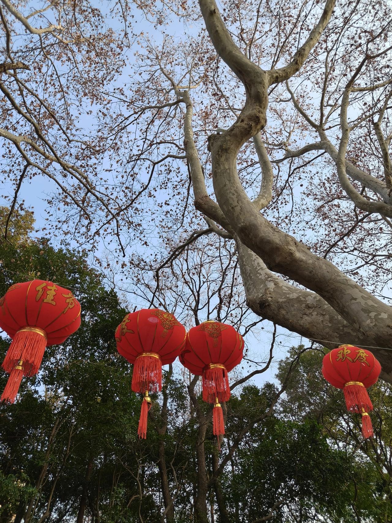 今天初二了，上午晒太阳，
下午到附近公园走一圈，
还要收拾一下东西，
明天就回老