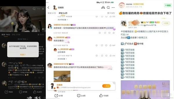 橘猫大战蓝v和团队