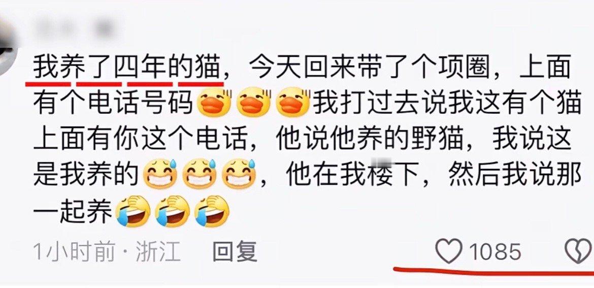 渣咪，脚踏三只船 ​​​