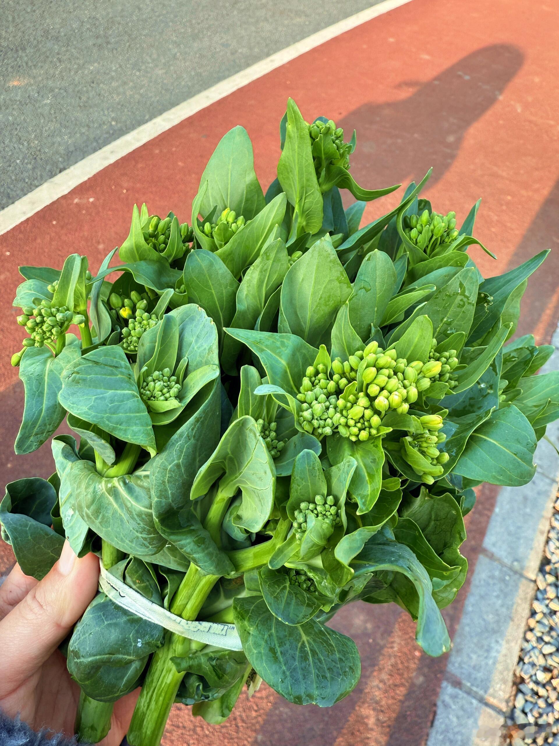 超级新鲜的菜心 ​​​