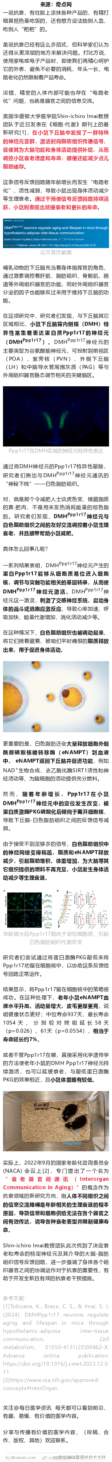 《细胞·代谢》：发现抗衰又减重的神经元！科学家发现大脑能直接号令肥肉，使其燃烧为