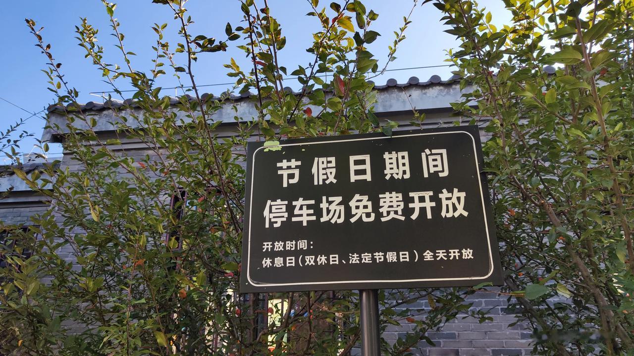 扬州太好了。

小乡镇上的镇政府，停车位休息日都是对外开放的。

#扬州处处有惊