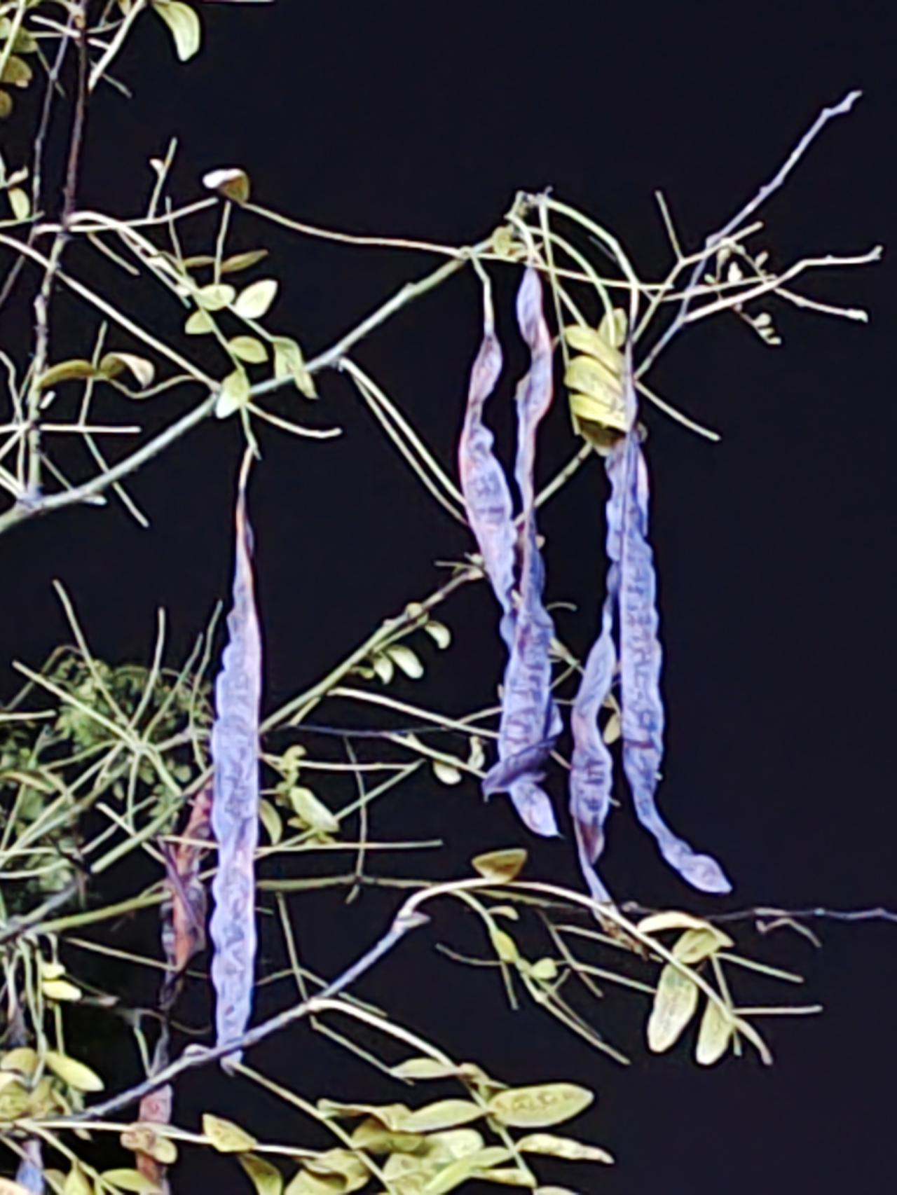 上联：天地分上下；请赐下联人品论高低