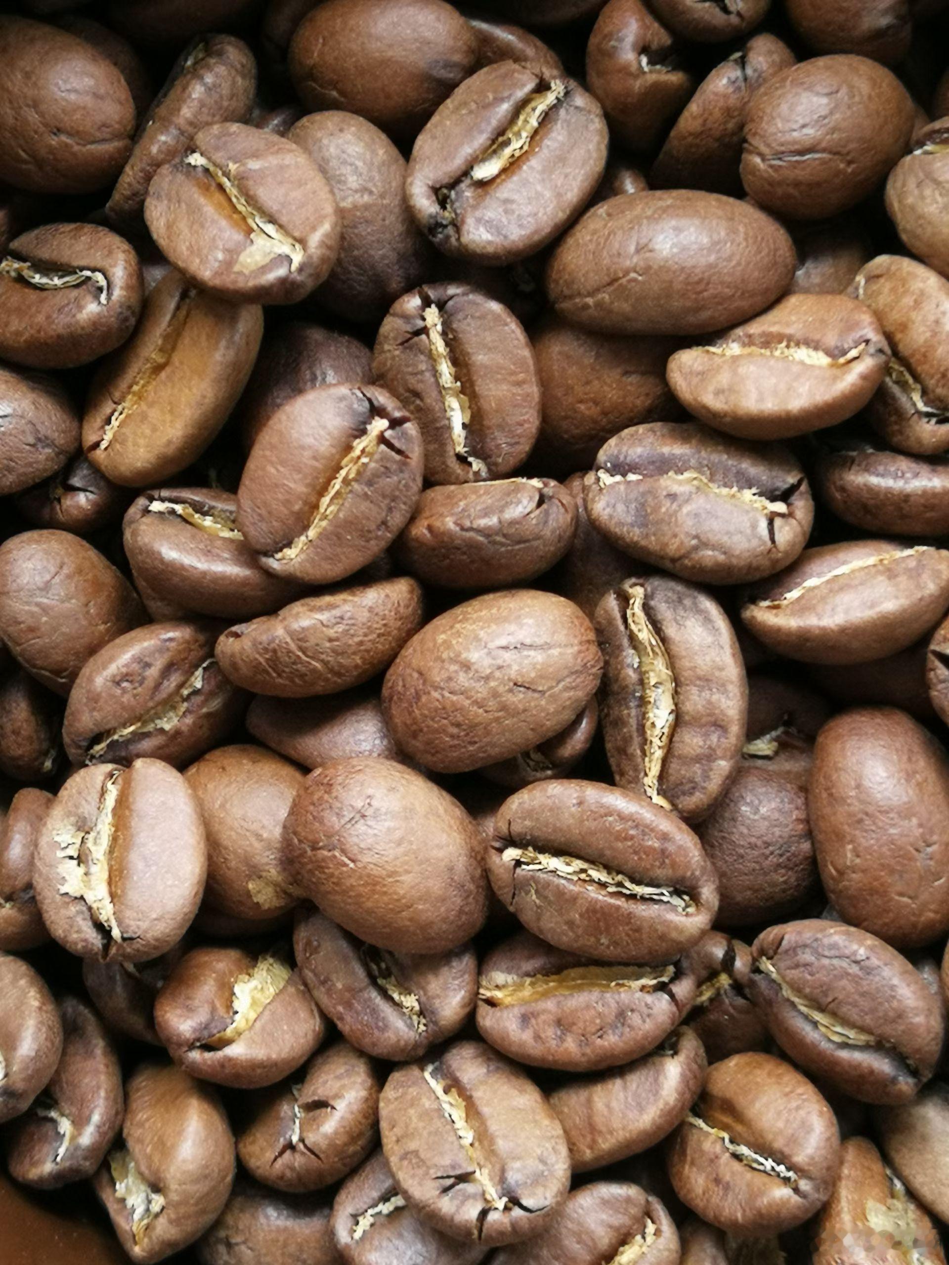 AMBER庄园与CLYDESDALE庄园，哪个蓝山风味更好？有了解的评论回复……