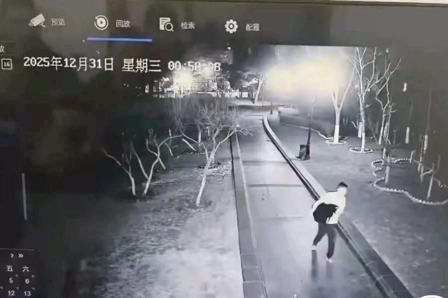 什么人能干出这种事？
元旦前夜，大连儿童公园的一只公黑天鹅被人偷走，剩下一只母黑