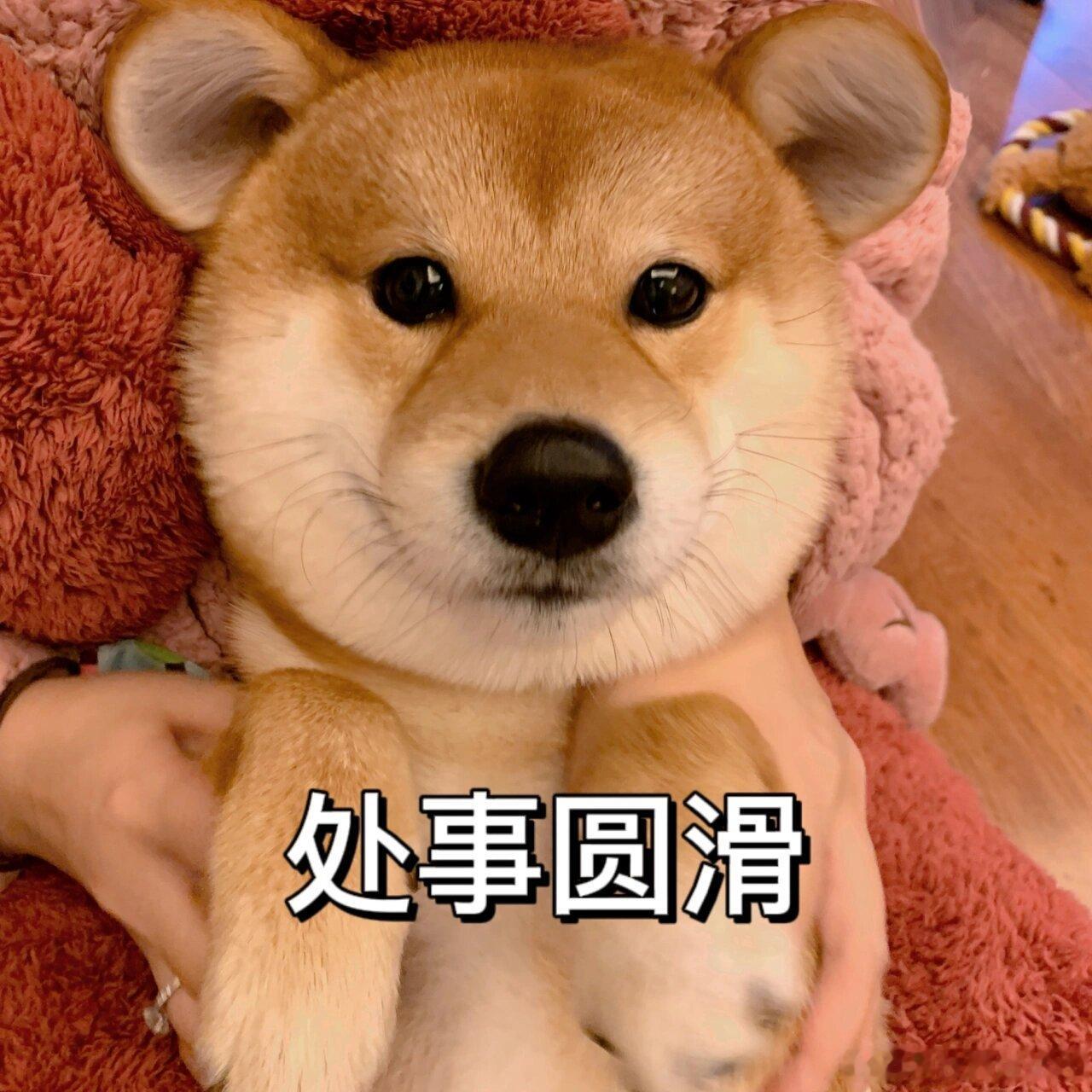 真的建议大家不要过度礼貌很多人从小被教育待人要有礼貌，但长大之后慢慢发现，礼貌要
