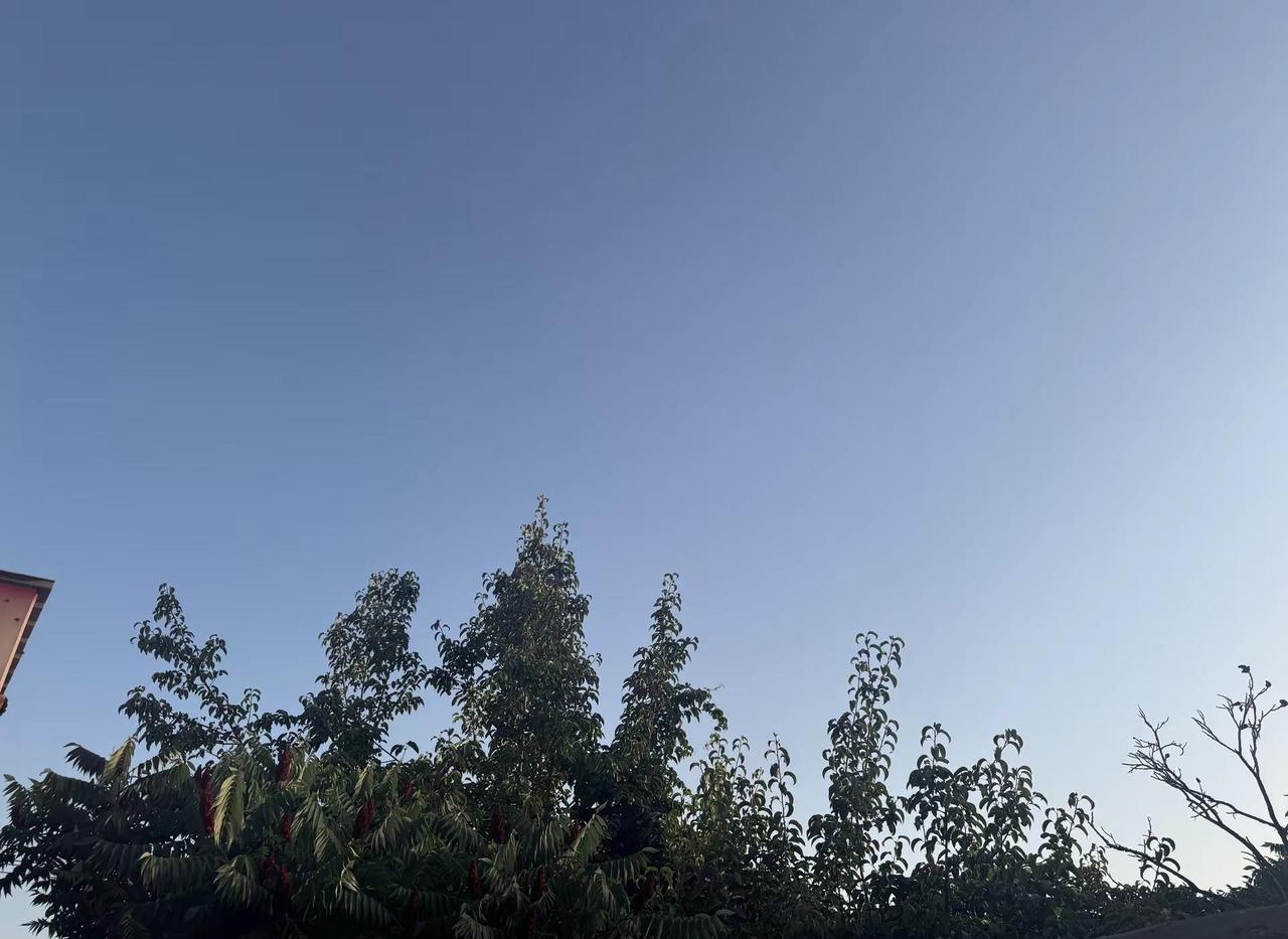 内蒙古的天空。这么热的天气 万里无云 你和我说有雷电预警？你那里气温现在多少度 