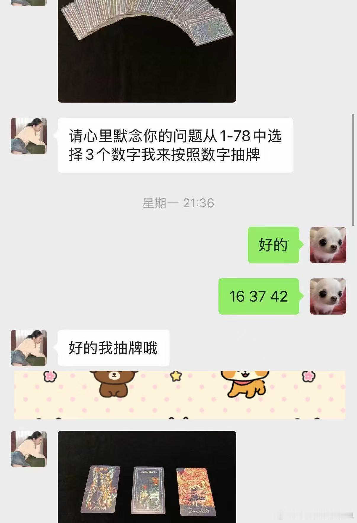最近试了一次线上塔罗，特别有意思。这也是我第一次占卜，有点紧张也有点怀疑，不过很