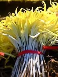 早晨一起来室外就白茫茫的一片，想到兰州又下雪了，等到10点钟的时候雪基本上停了，