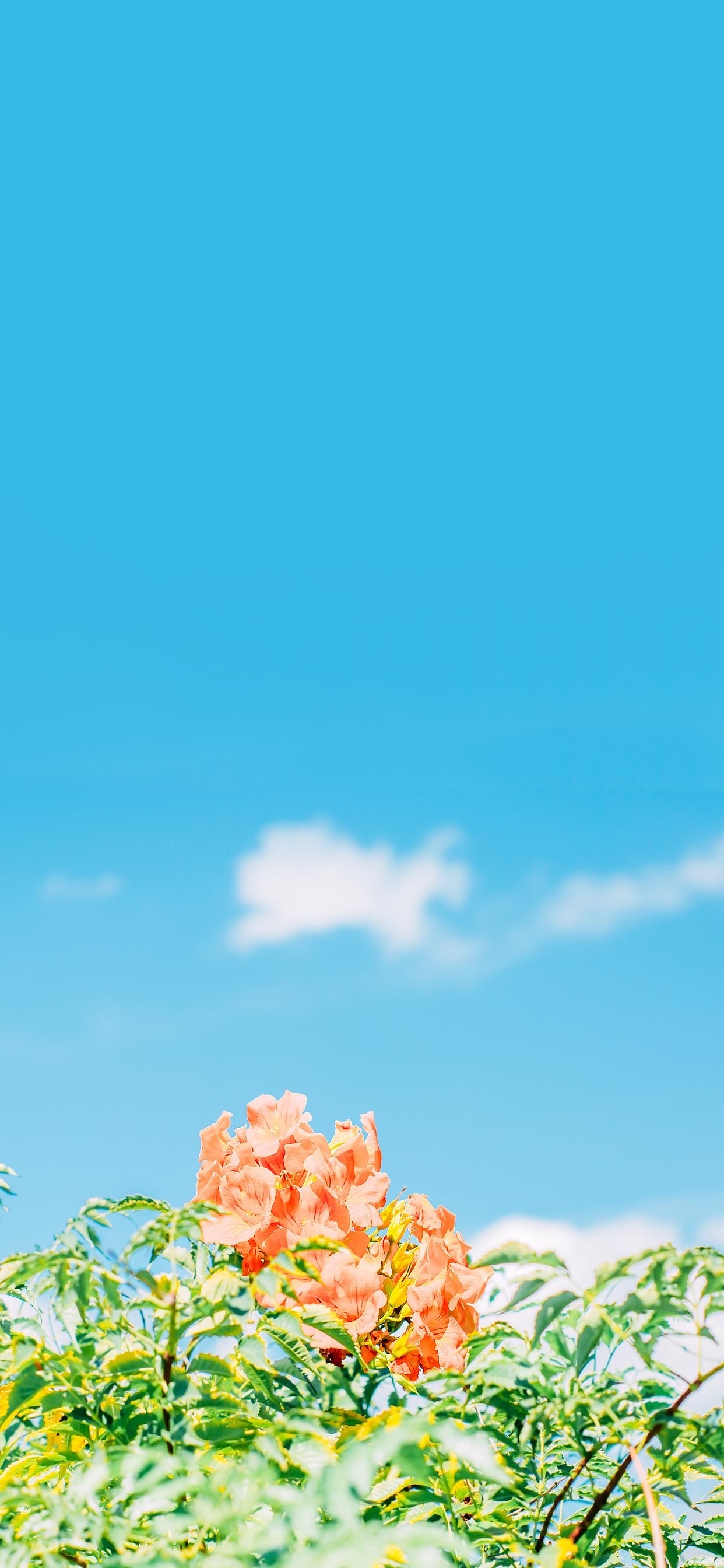 治愈系风景壁纸 ​​​