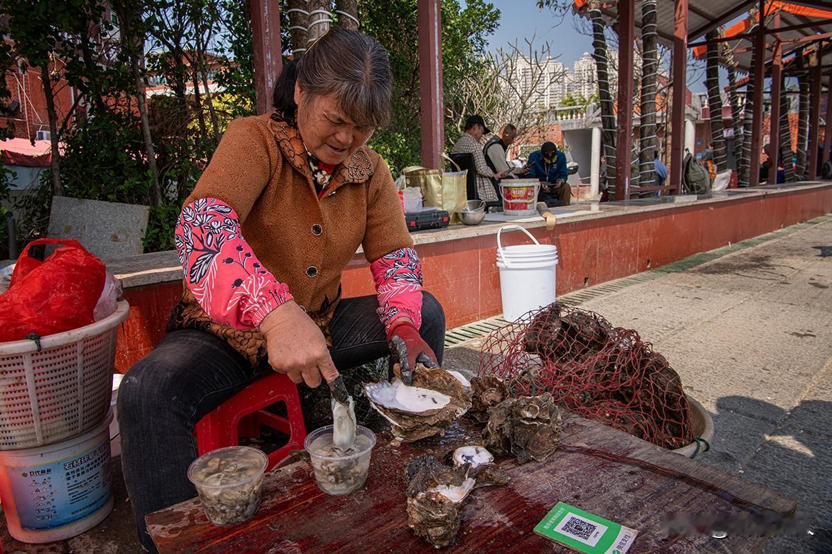 蚝情满怀
       巧手执刀，壳隙轻启，肥嫩蚝肉应声而落。市集摊前，那双沾着