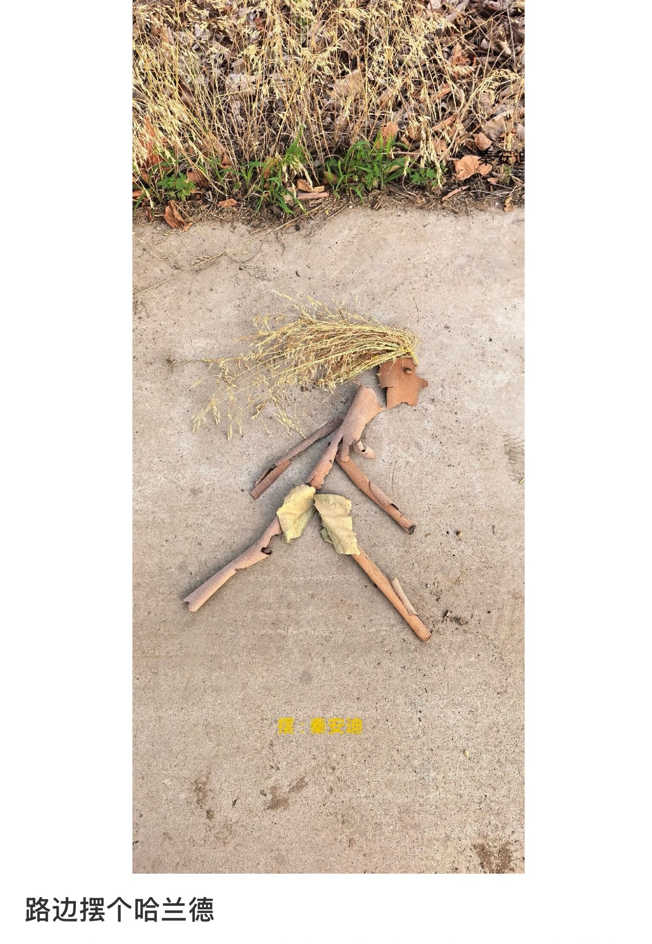 路边摆个哈兰德非正经观战世界杯