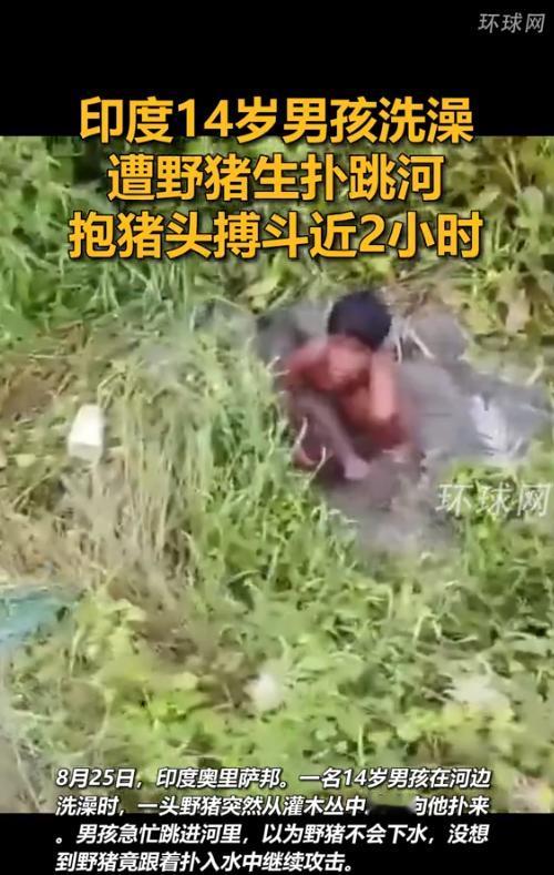 “太猛了！”8月27日报道，印度，一14岁男孩准备下河洗澡时，一头野猪突然从灌木