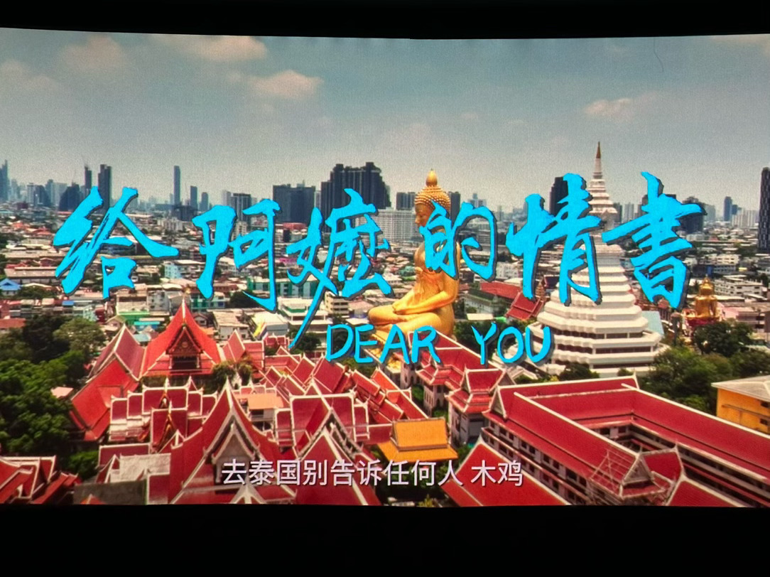 给阿嬷的情书💌一个有情有义的故事。婚姻是一种选择。对南枝来说1靠自己是最重要的