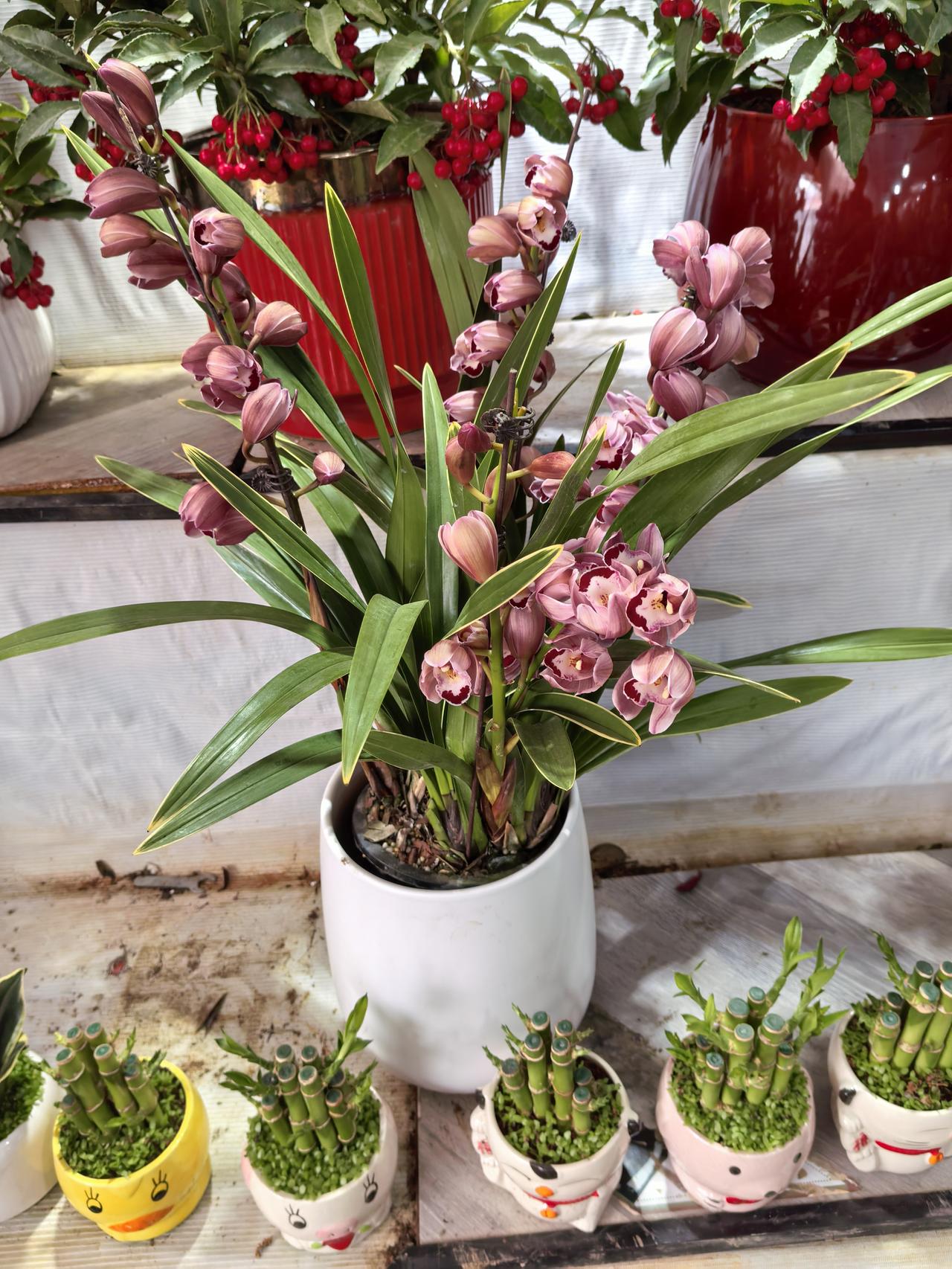 2026马年新春，“天南地北大拜年”火出圈啦！这拜年方式，那叫一个五花八门。
北