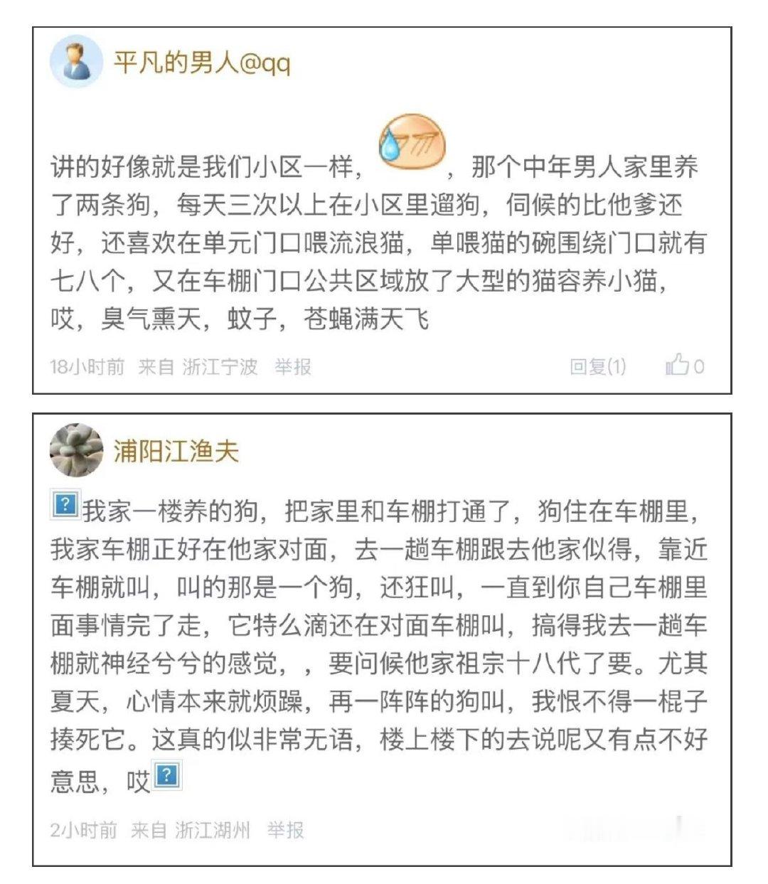 宁波一小区里有人投喂流浪猫引起居民不满一人献爱心，全小区一起买单！宁波这个老小区