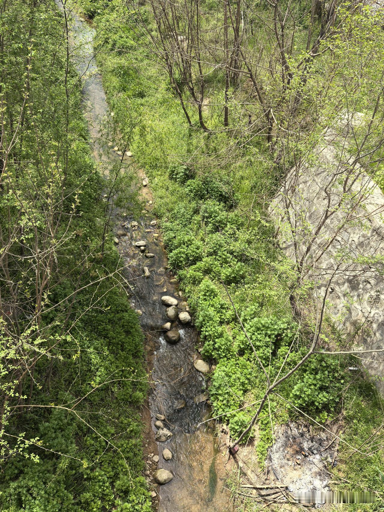 清明节回老家，小叔给我介绍那一个又一个坟（F）包时，我心中突然涌起了一种悲凉，这