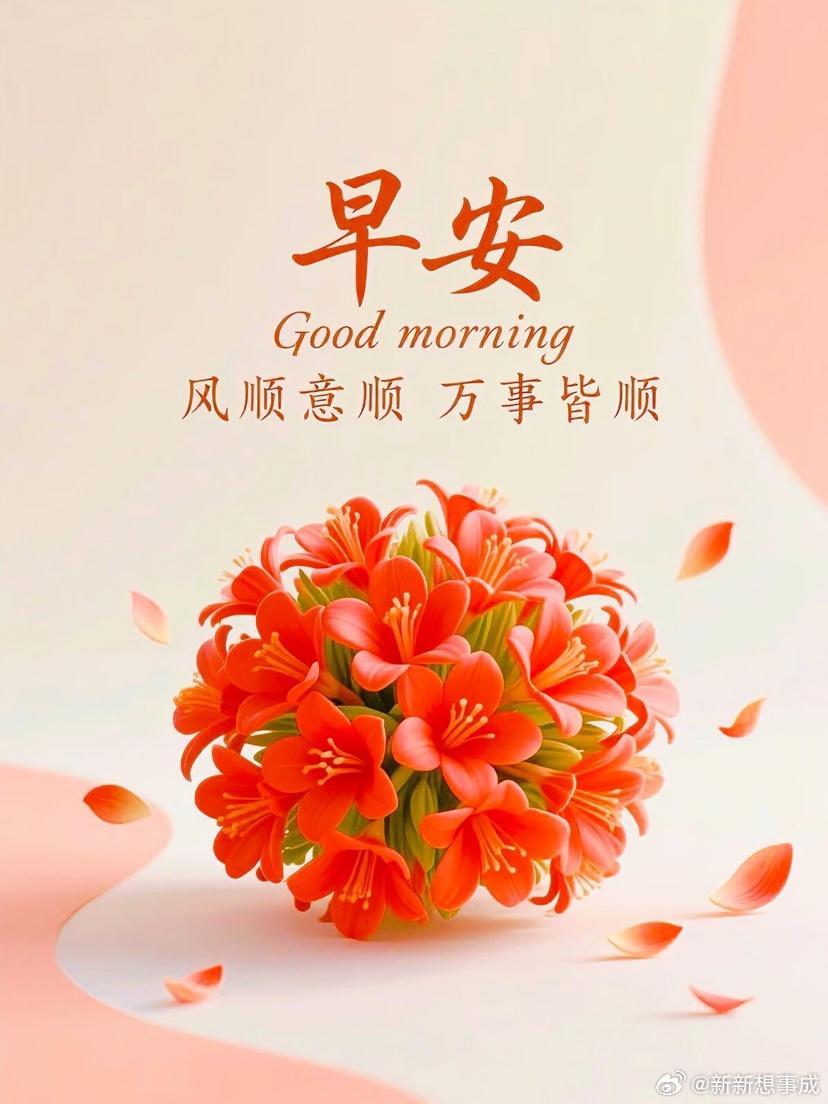 早安，不管昨天如何，今天都是生命中最新鲜的一天。到了这个年纪，不用过度盼望来日多