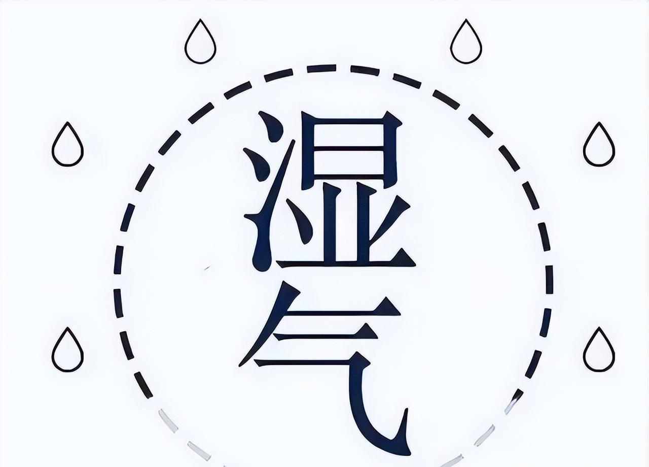 湿气入心——会猝死，湿气入脾——气血虚，湿气入筋——手脚发麻！除湿便是救命！
