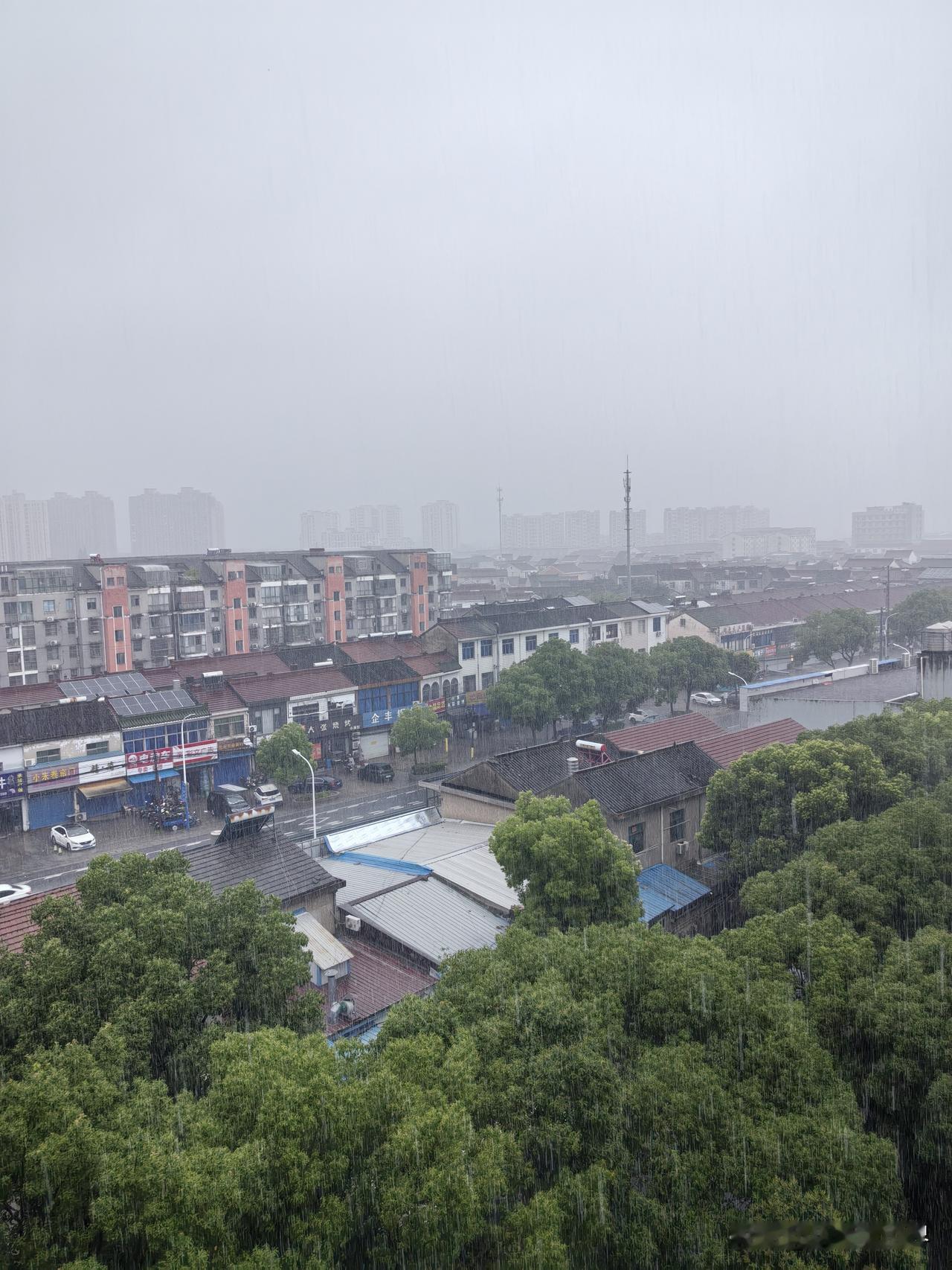 雨，一场接着一场下。大雨、小雨、中雨，自从前几天入梅以后，老天爷就天天不消停啊！